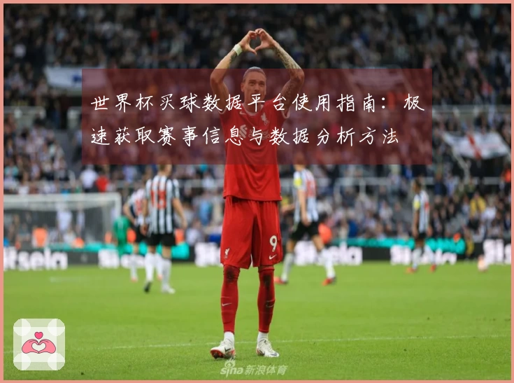 世界杯买球数据平台使用指南：极速获取赛事信息与数据分析方法